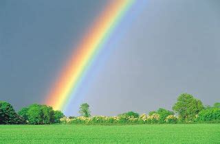 The magic rainbow